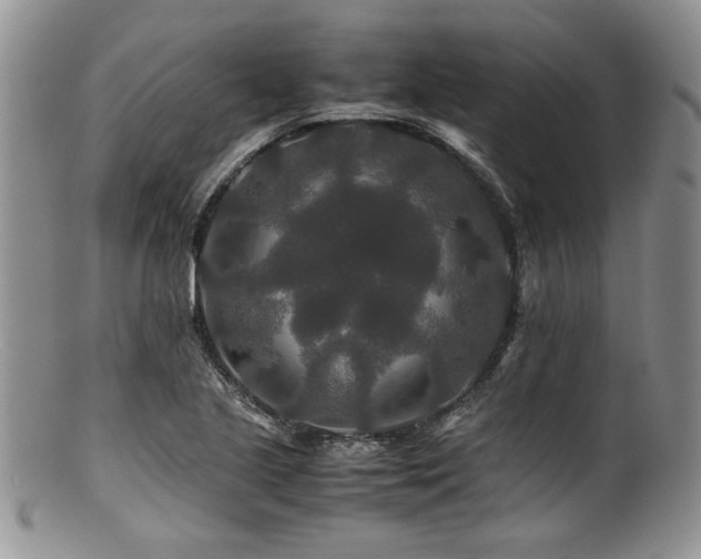 X0000100881221200806201238