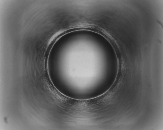 X0000100881222200806201238