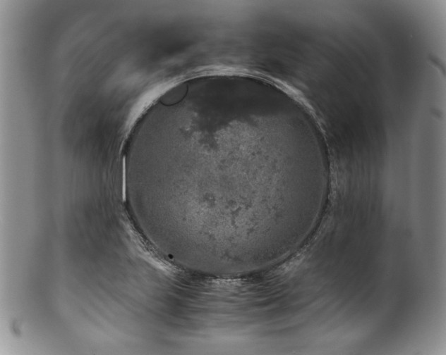X0000100881223200806201238