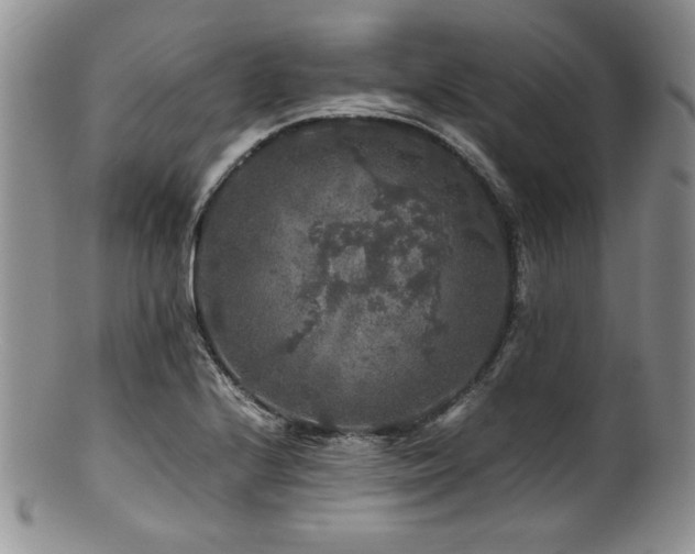 X0000100881224200806201238
