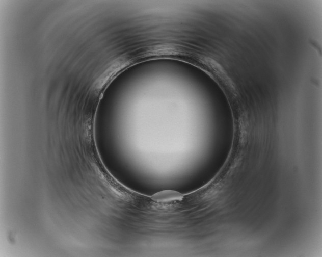 X0000100881225200806201238
