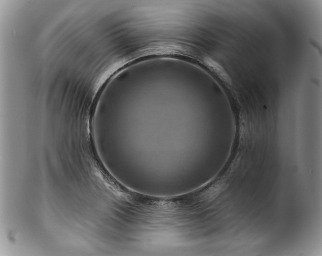 X0000100881226200806201238