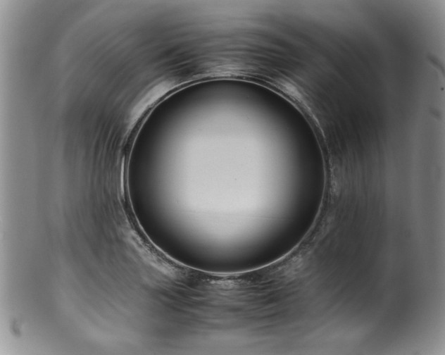 X0000100881227200806201238