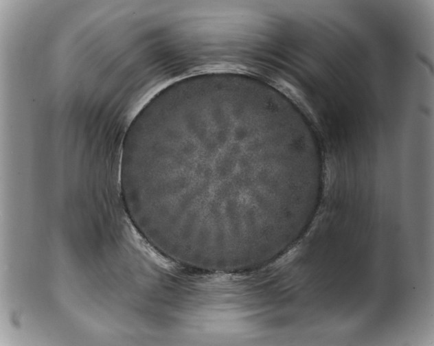X0000100881228200806201238
