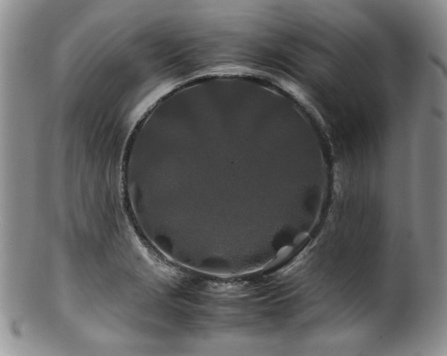 X0000100881229200806201238