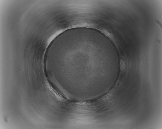X0000100881230200806201238