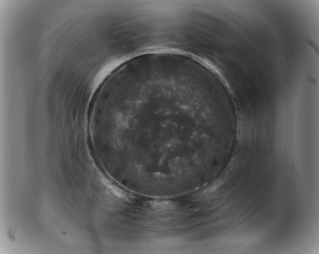 X0000100881231200806201238