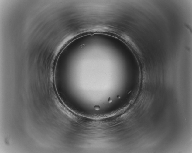 X0000100881232200806201238