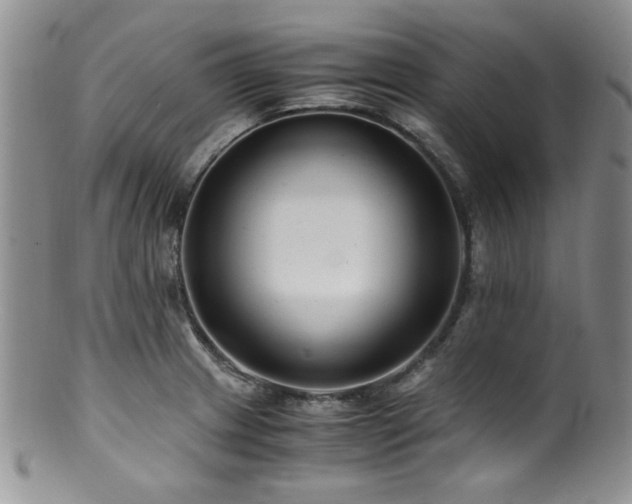 X0000100881233200806201238