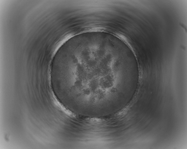 X0000100881235200806201238