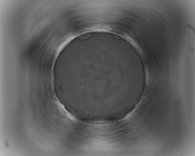 X0000100881240200806201238