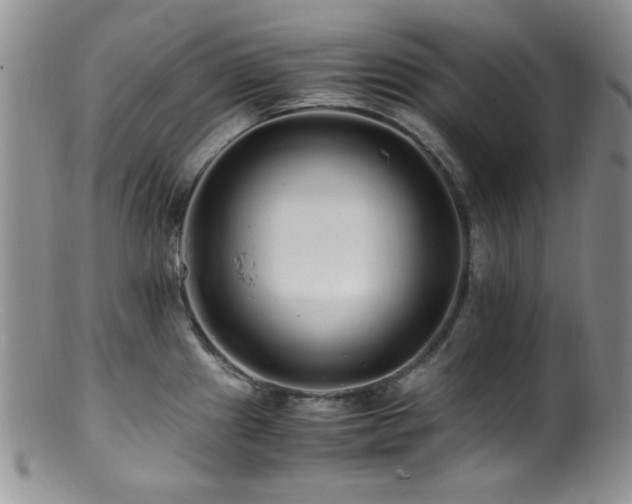 X0000100881241200806201238