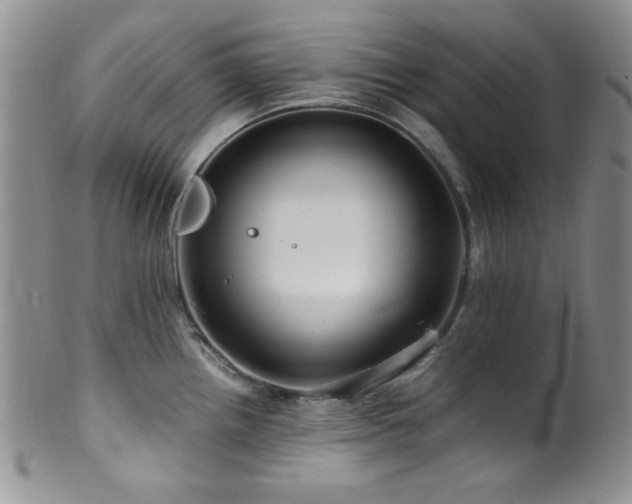 X0000100881242200806201238
