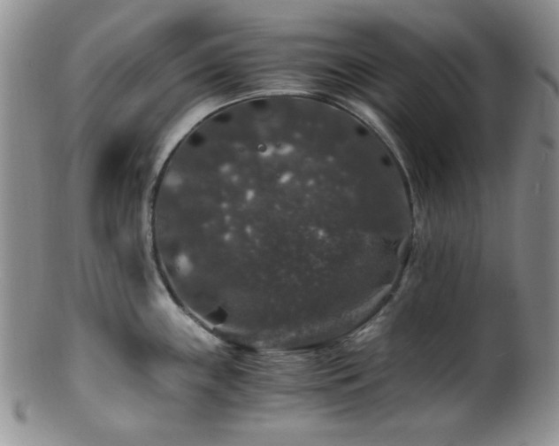 X0000100881243200806201238