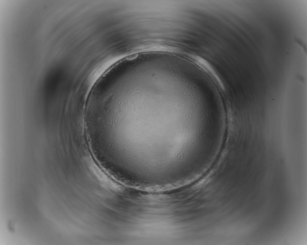 X0000100881244200806201239
