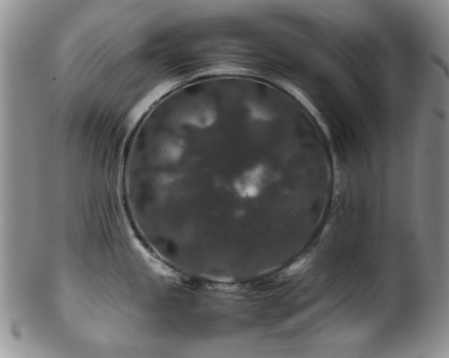 X0000100881245200806201239