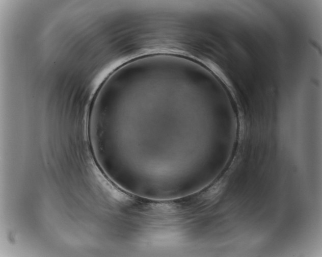 X0000100881246200806201239