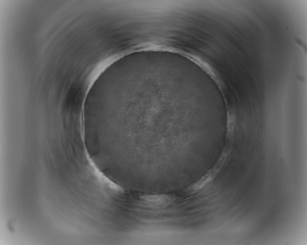 X0000100881247200806201239