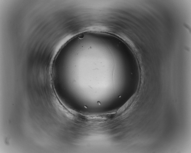 X0000100881248200806201239