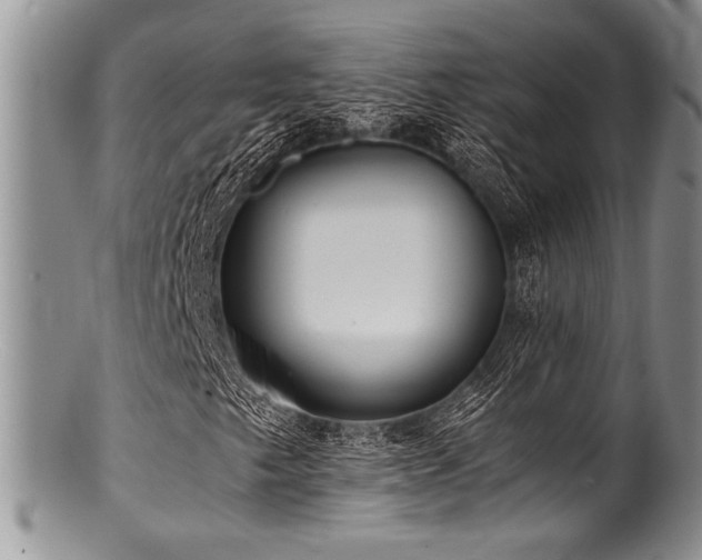 X0000100881249200806201238