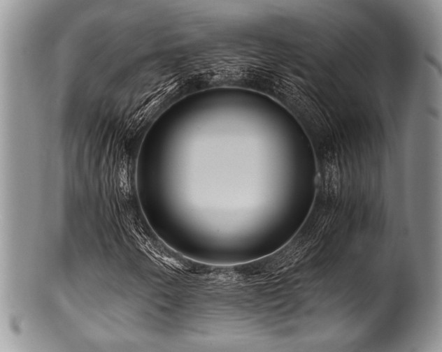 X0000100881250200806201238