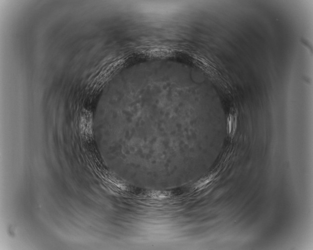 X0000100881251200806201238