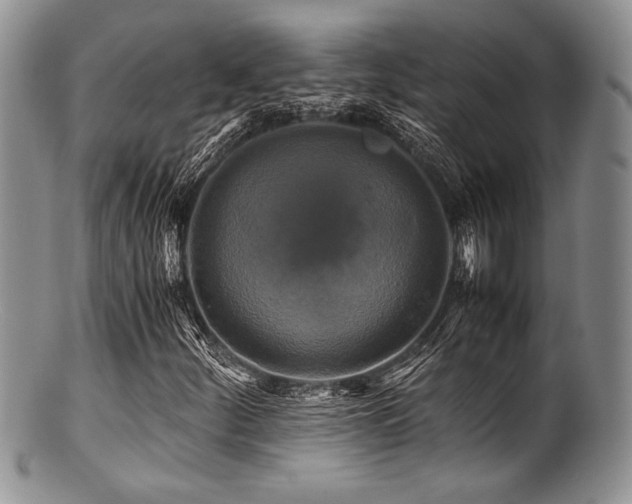 X0000100881252200806201238
