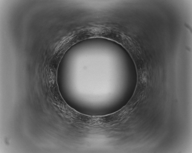 X0000100881253200806201238