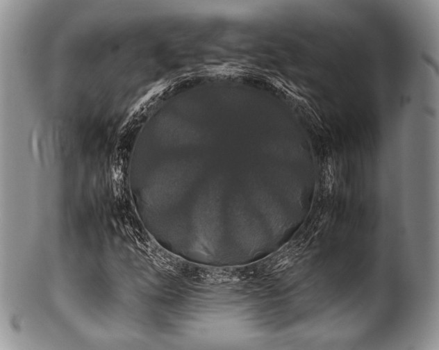 X0000100881254200806201238