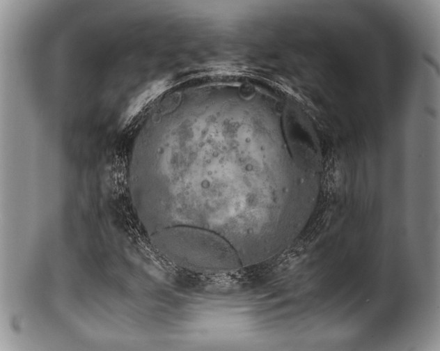 X0000100881255200806201238