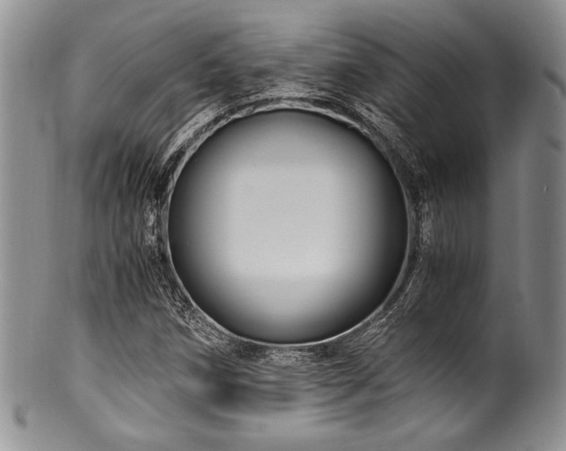 X0000100881258200806201238