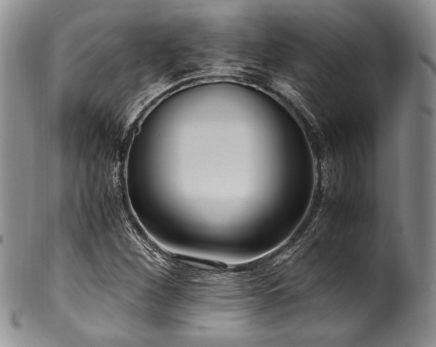 X0000100881260200806201238