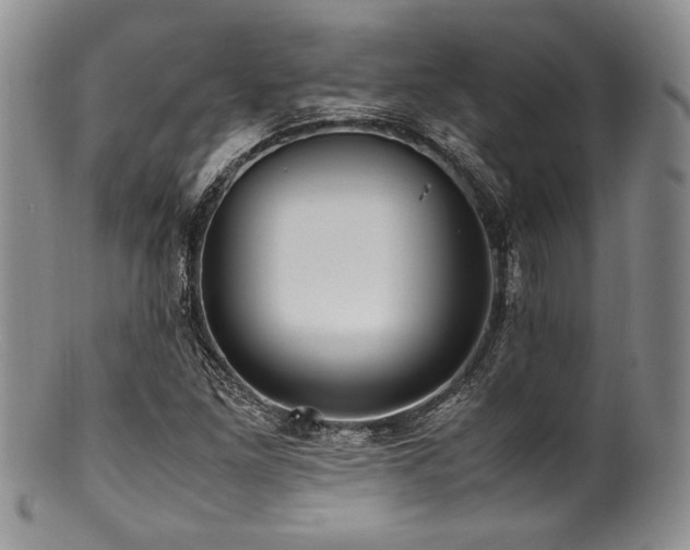 X0000100881261200806201238