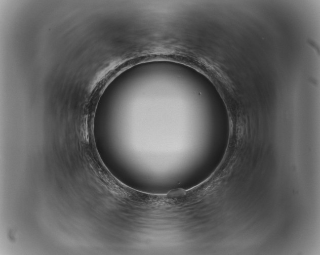 X0000100881262200806201238
