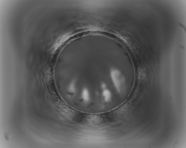 X0000100881263200806201238