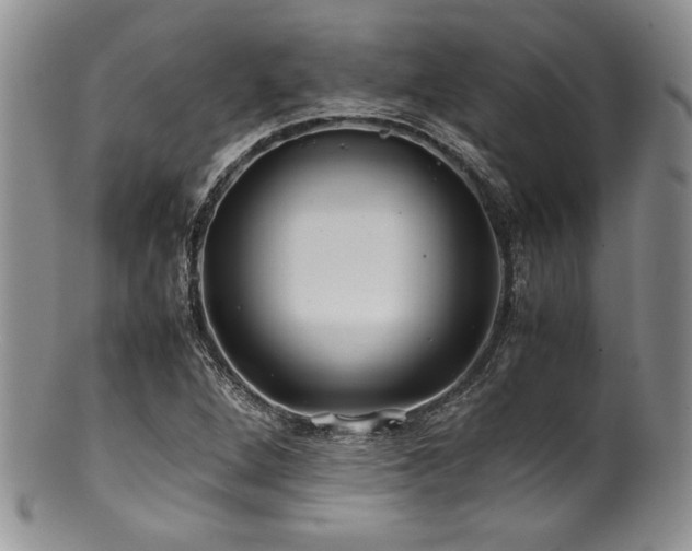 X0000100881264200806201238