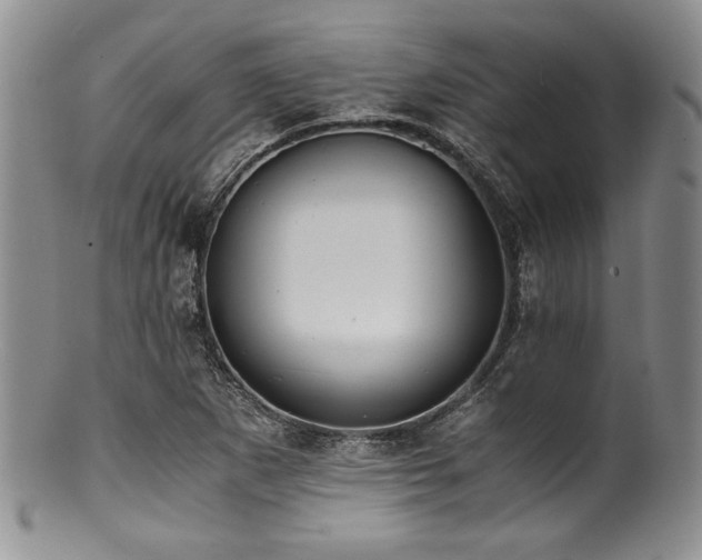 X0000100881265200806201238