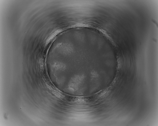 X0000100881266200806201238