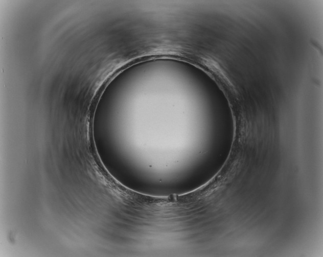 X0000100881268200806201238