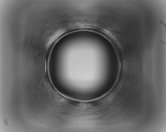 X0000100881269200806201238