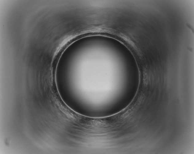 X0000100881270200806201238