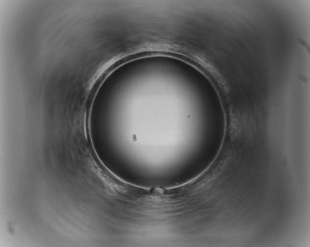 X0000100881272200806201238