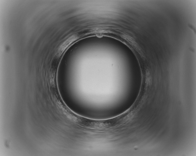 X0000100881273200806201238