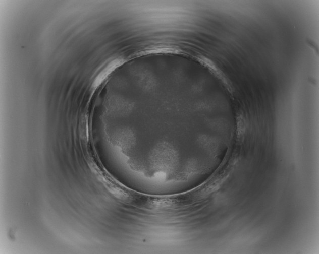 X0000100881274200806201238