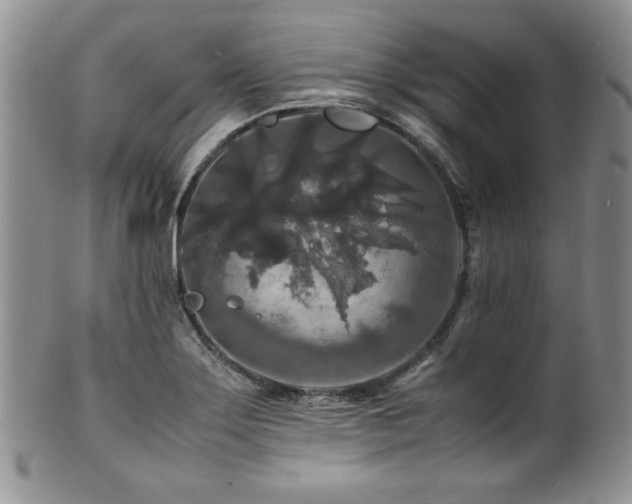 X0000100881275200806201238