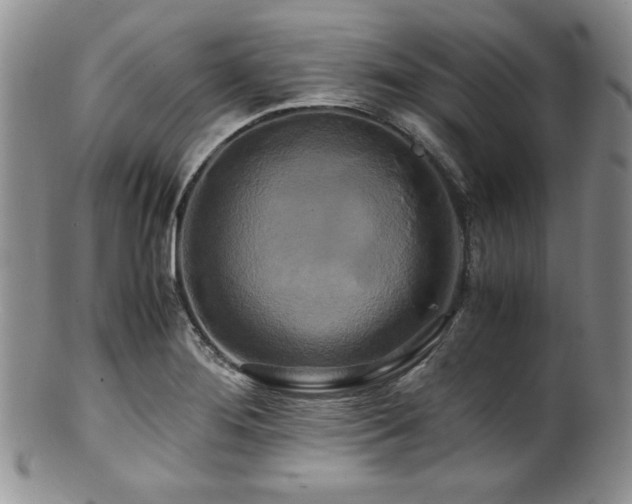 X0000100881276200806201238