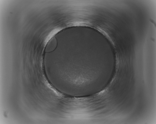 X0000100881277200806201237