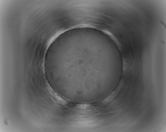 X0000100881278200806201237