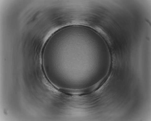 X0000100881280200806201237