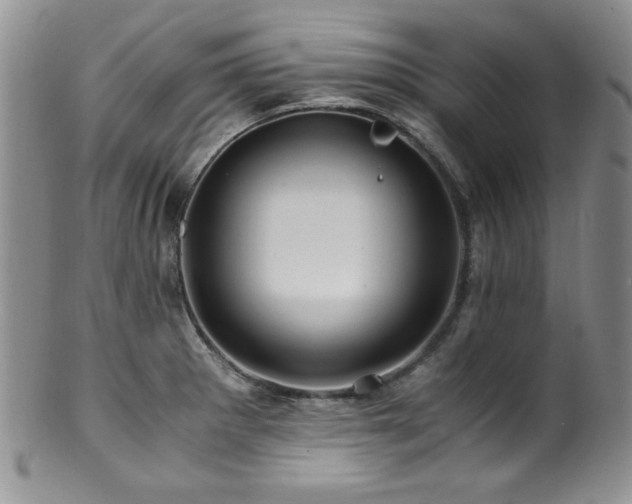 X0000100881281200806201237